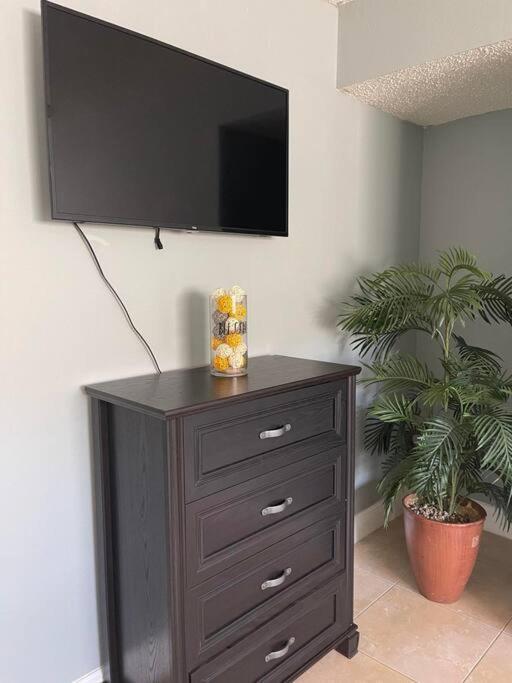 The Citrus In *